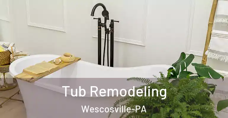 inner Bathroom imggen Tub Remodeling Wescosville-PA
