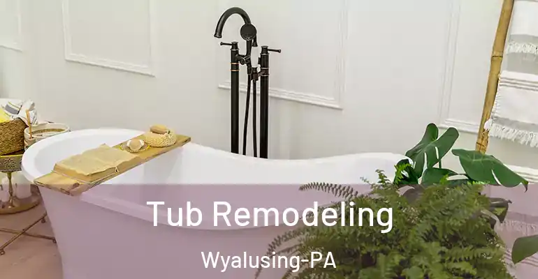 inner Bathroom imggen Tub Remodeling Wyalusing-PA