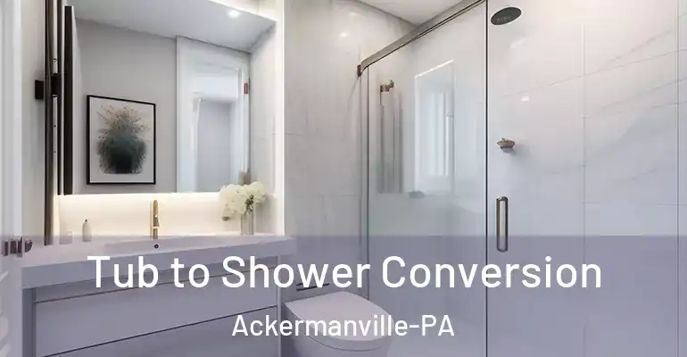 inner Bathroom imggen Tub to Shower Conversion Ackermanville-PA