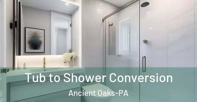 inner Bathroom imggen Tub to Shower Conversion Ancient Oaks-PA