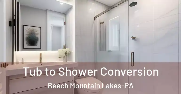 inner Bathroom imggen Tub to Shower Conversion Beech Mountain Lakes-PA