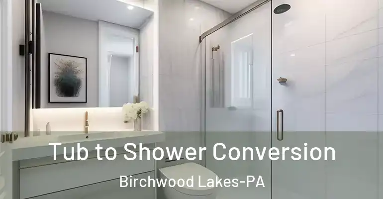 inner Bathroom imggen Tub to Shower Conversion Birchwood Lakes-PA