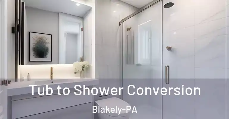 inner Bathroom imggen Tub to Shower Conversion Blakely-PA
