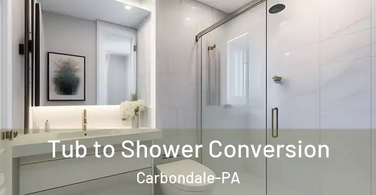 inner Bathroom imggen Tub to Shower Conversion Carbondale-PA