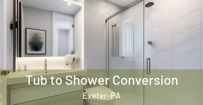 inner Bathroom imggen Tub to Shower Conversion Exeter-PA