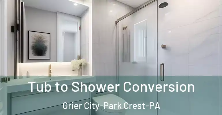 inner Bathroom imggen Tub to Shower Conversion Grier City-Park Crest-PA