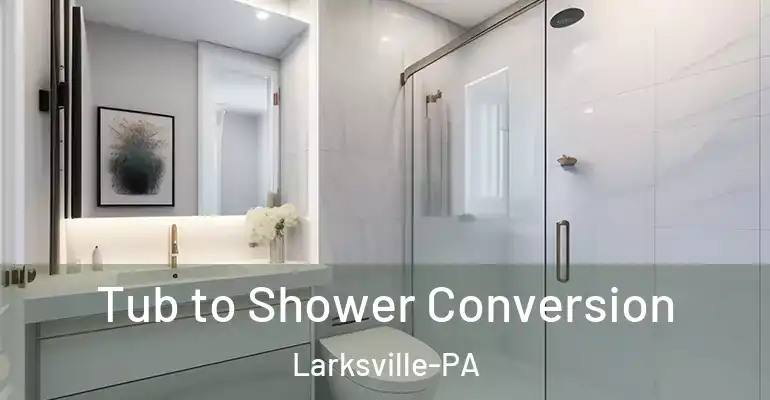 inner Bathroom imggen Tub to Shower Conversion Larksville-PA