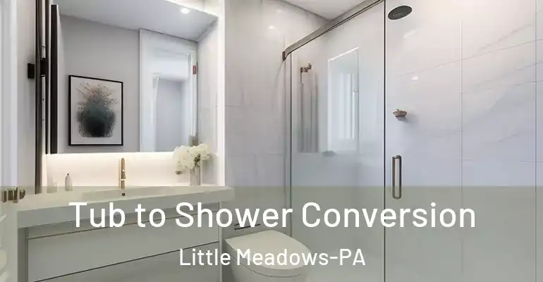 inner Bathroom imggen Tub to Shower Conversion Little Meadows-PA