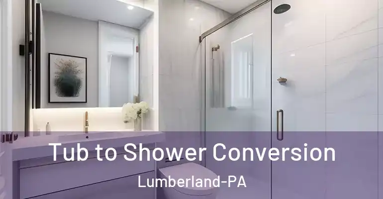 inner Bathroom imggen Tub to Shower Conversion Lumberland-PA