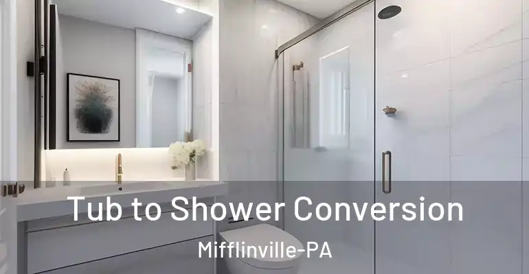 inner Bathroom imggen Tub to Shower Conversion Mifflinville-PA