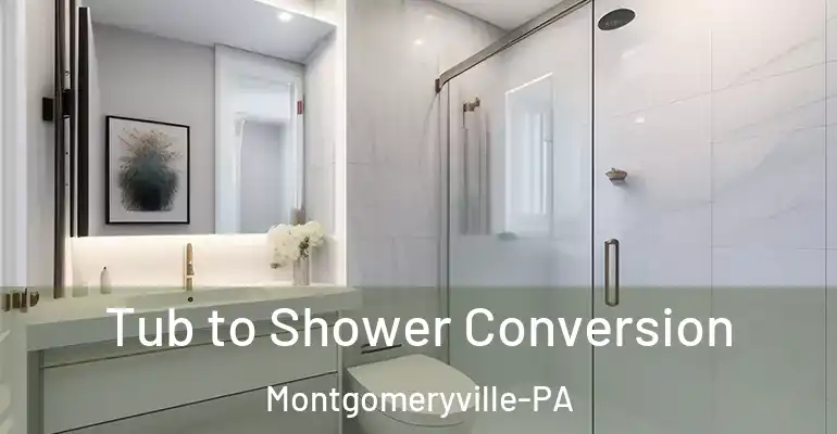 inner Bathroom imggen Tub to Shower Conversion Montgomeryville-PA