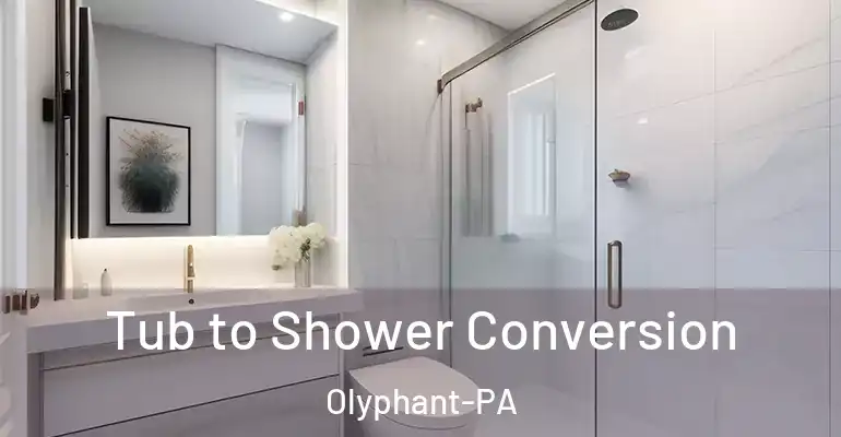 inner Bathroom imggen Tub to Shower Conversion Olyphant-PA