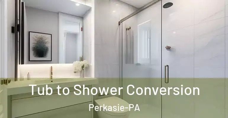 inner Bathroom imggen Tub to Shower Conversion Perkasie-PA