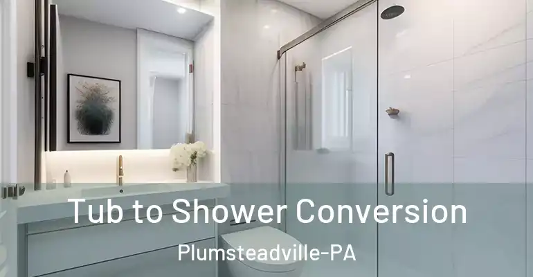 inner Bathroom imggen Tub to Shower Conversion Plumsteadville-PA