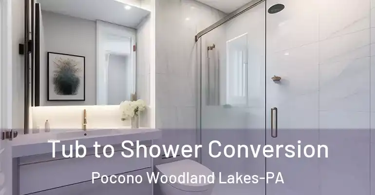 inner Bathroom imggen Tub to Shower Conversion Pocono Woodland Lakes-PA