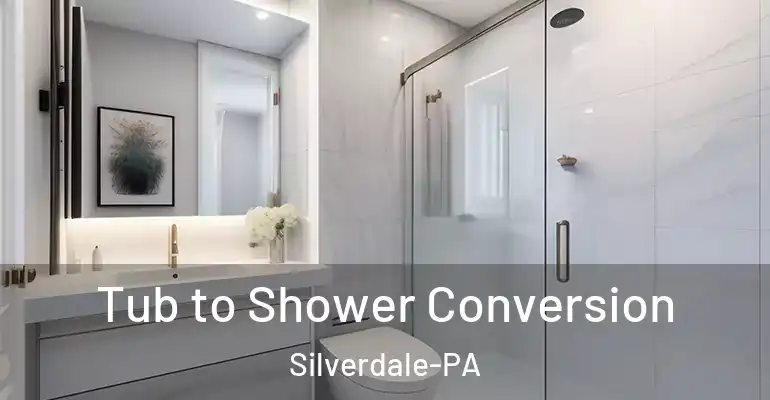 inner Bathroom imggen Tub to Shower Conversion Silverdale-PA