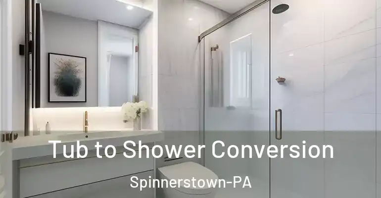 inner Bathroom imggen Tub to Shower Conversion Spinnerstown-PA