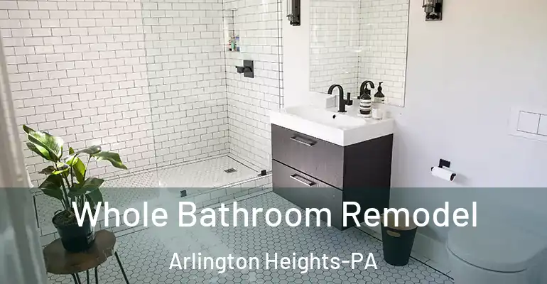 inner Bathroom imggen Whole Bathroom Remodel Arlington Heights-PA