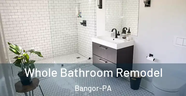 inner Bathroom imggen Whole Bathroom Remodel Bangor-PA