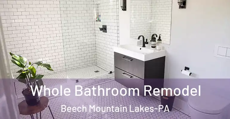 inner Bathroom imggen Whole Bathroom Remodel Beech Mountain Lakes-PA