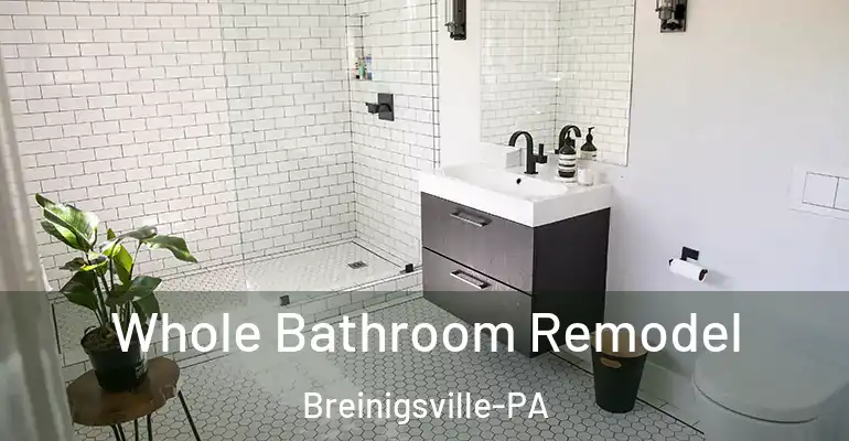 inner Bathroom imggen Whole Bathroom Remodel Breinigsville-PA