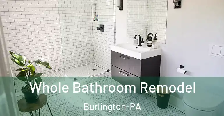 inner Bathroom imggen Whole Bathroom Remodel Burlington-PA