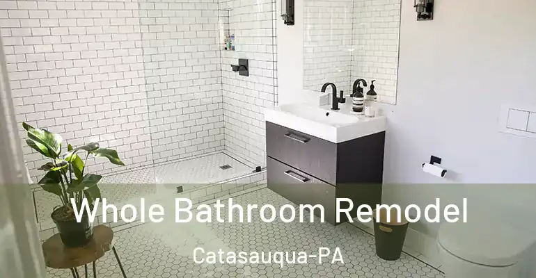 inner Bathroom imggen Whole Bathroom Remodel Catasauqua-PA
