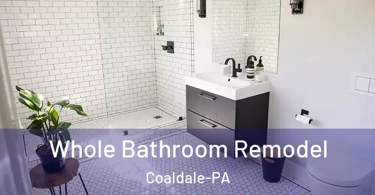 inner Bathroom imggen Whole Bathroom Remodel Coaldale-PA