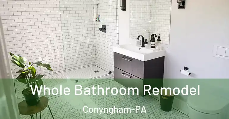 inner Bathroom imggen Whole Bathroom Remodel Conyngham-PA