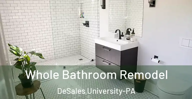 inner Bathroom imggen Whole Bathroom Remodel DeSales University-PA