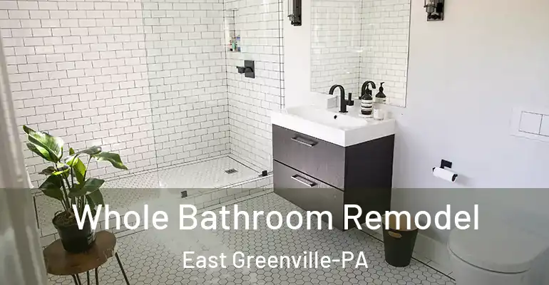 inner Bathroom imggen Whole Bathroom Remodel East Greenville-PA