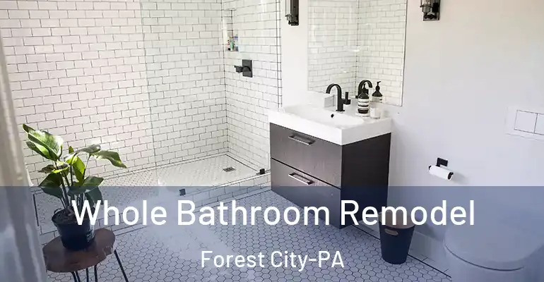 inner Bathroom imggen Whole Bathroom Remodel Forest City-PA