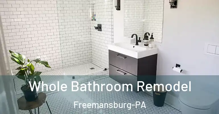 inner Bathroom imggen Whole Bathroom Remodel Freemansburg-PA