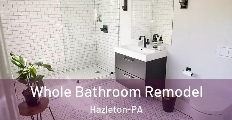 inner Bathroom imggen Whole Bathroom Remodel Hazleton-PA