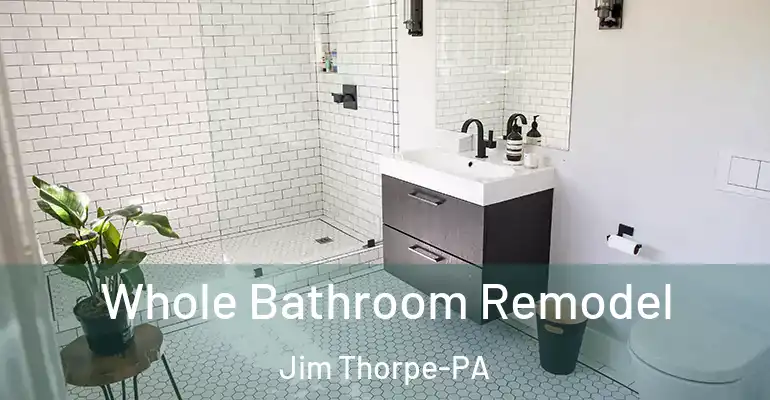 inner Bathroom imggen Whole Bathroom Remodel Jim Thorpe-PA