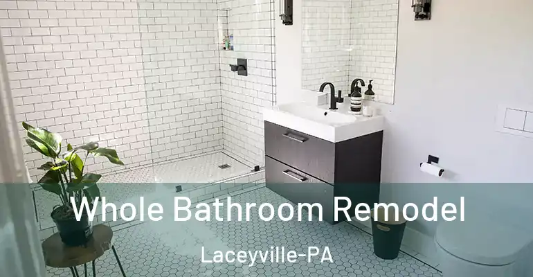 inner Bathroom imggen Whole Bathroom Remodel Laceyville-PA