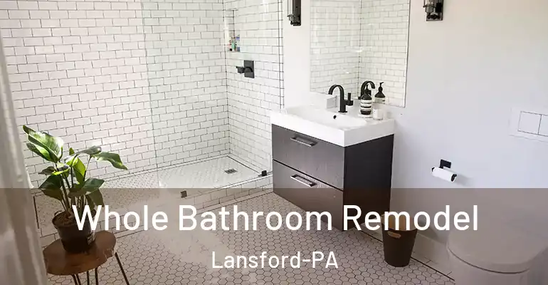 inner Bathroom imggen Whole Bathroom Remodel Lansford-PA