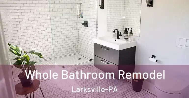 inner Bathroom imggen Whole Bathroom Remodel Larksville-PA