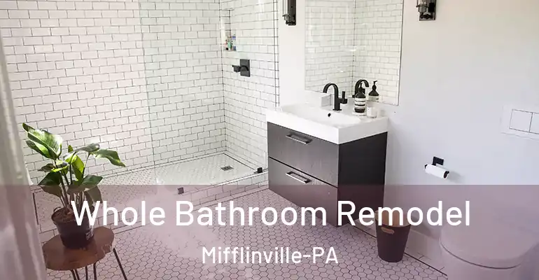 inner Bathroom imggen Whole Bathroom Remodel Mifflinville-PA