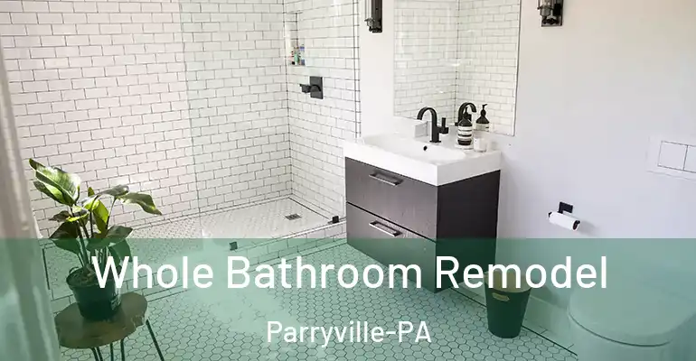 inner Bathroom imggen Whole Bathroom Remodel Parryville-PA