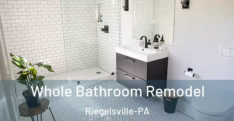 inner Bathroom imggen Whole Bathroom Remodel Riegelsville-PA
