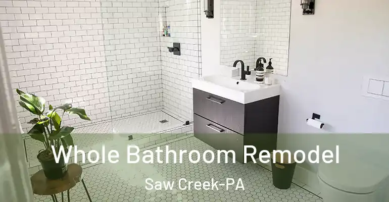 inner Bathroom imggen Whole Bathroom Remodel Saw Creek-PA