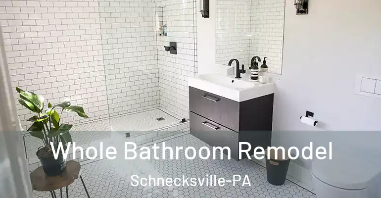 inner Bathroom imggen Whole Bathroom Remodel Schnecksville-PA