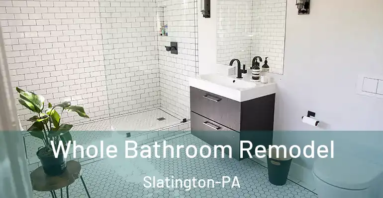 inner Bathroom imggen Whole Bathroom Remodel Slatington-PA