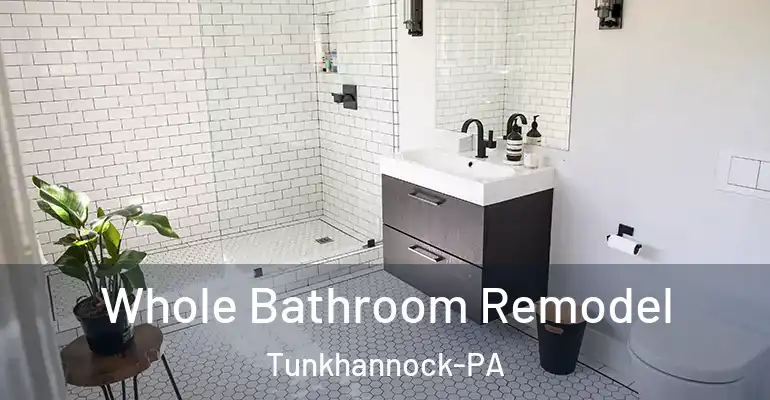 inner Bathroom imggen Whole Bathroom Remodel Tunkhannock-PA