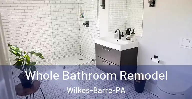 inner Bathroom imggen Whole Bathroom Remodel Wilkes-Barre-PA